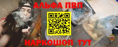 СК Гатчина