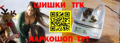 СК Гатчина