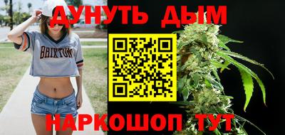СК Гатчина