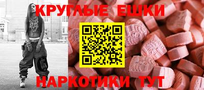 СК Гатчина