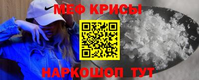 СК Гатчина