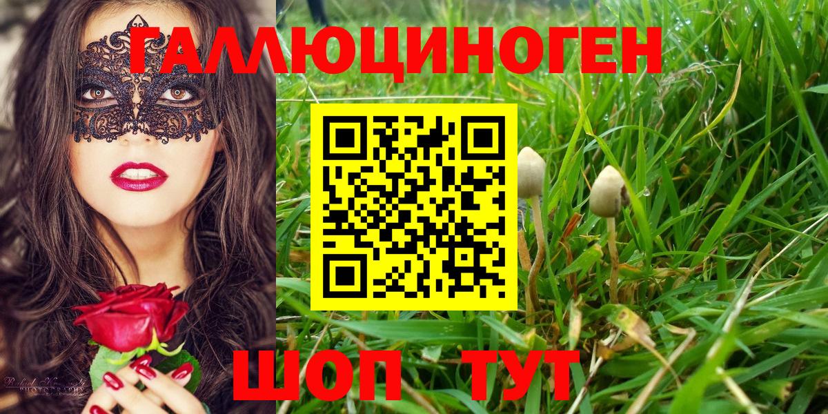 Галлюциногенные грибы мицелий  Псилоцибиновые грибы мицелий  Вход с VPN  Протвино 